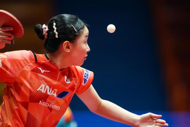 专注和和谐 专注和和谐